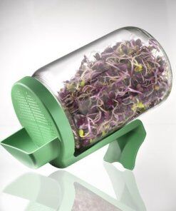 Germoir bocal 1p Bio