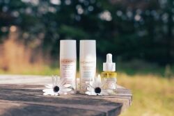 Crème concentrée aux actifs repulpants 50ml La Canopée – Image 3