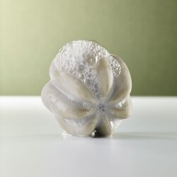Rebalancing Shampoo 100g UMAÏ - Image 2