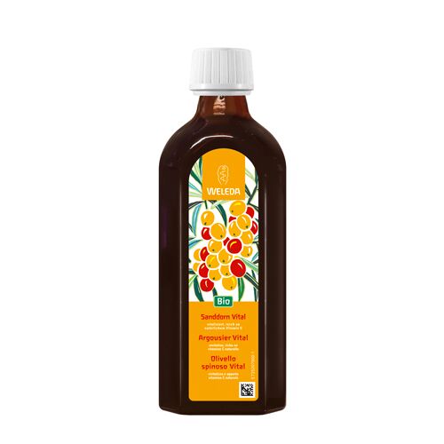 Sanddorn Vital Saft 250 ml